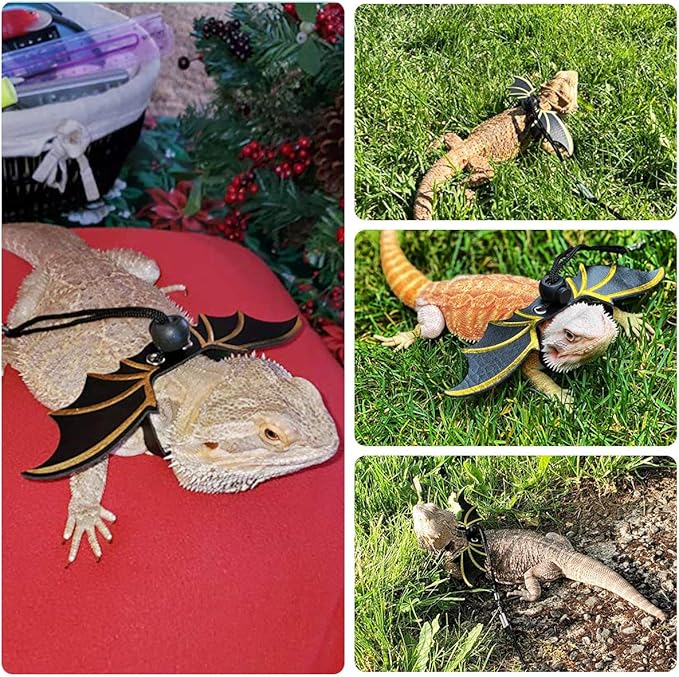 Pawaboo Adjustable Bearded Dragon Harness and Leash, 3 Size Leather Reptile Leash Outdoor Harness Leash with Bat Wings for Lizard Reptiles Amphibians Small Pet, Small/Medium/Large, Black+Gold Pawaboo