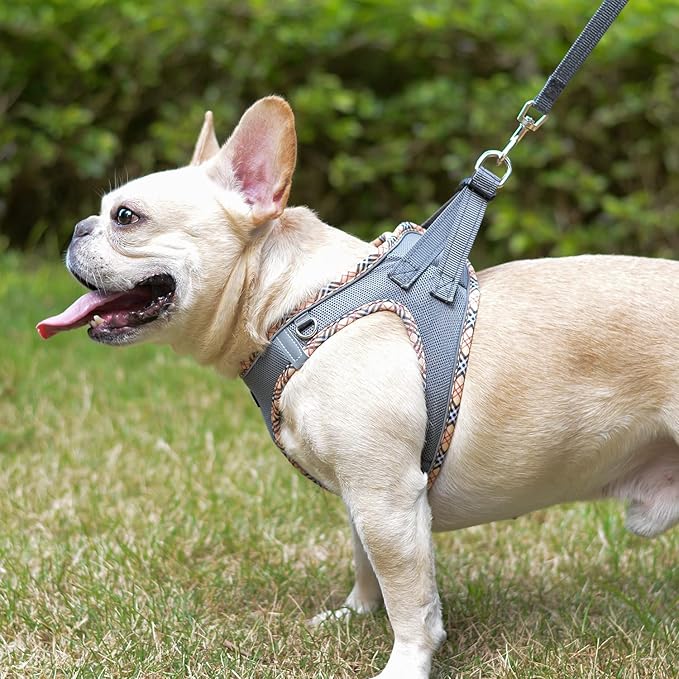 Mercano Soft Mesh Dog Harness and Leash Set, No-Chock Step-in Reflective Breathable Lightweight Easy Walk Escape Proof Vest Harnesses with Safety Buckle for Small Medium Dogs, Cats (Grey, XXS) PAWPICO