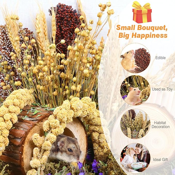 Natural Hamster Bedding, Hamster Herbs Flowers for Hamster Cage Enclosure Habitat Decor Hamster Sprays for Dwarf Syrian Guinea Hamsters Gerbil Degus or Other Small Animals(Grain Version) ALWZ-RDY