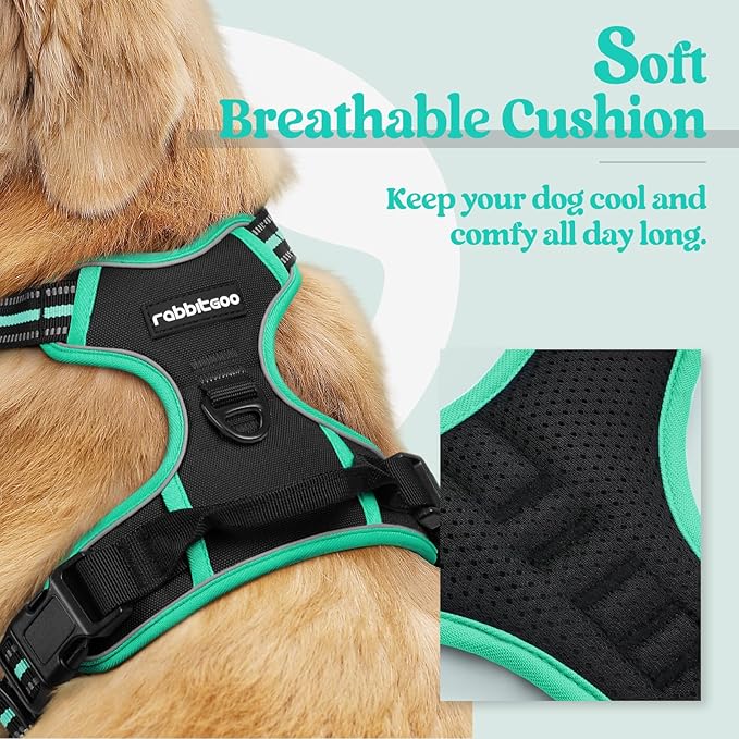rabbitgoo Dog Harness No Pull with 2 Leash Clips, Adjustable Soft Padded, Reflective Oxford No Choke Pet Vest with Easy Control Handle for Large Dogs, Black & Turquoise, XL rabbitgoo