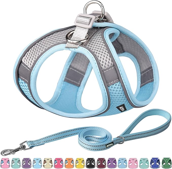 AIITLE Dog Harness, Spring No-Pull Cat Harness with a Leash, Adjustable Reflective Dog Vest, Cat Harness Escape Proof, Outdoor Walking, Camping for Extra Small Dogs and House Cats Blue XXXS AIITLE-FORPETSBETTERLIFE