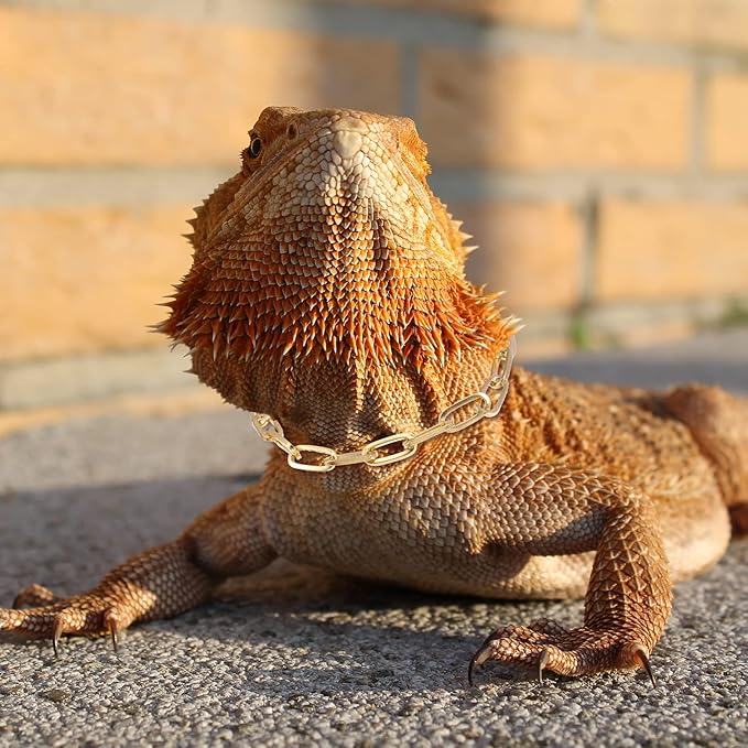 8 Pieces Lizard Crown Necklace Set Bearded Dragon Crown and Chain Gold and Silver Alloy Reptile Clothes Accessories Lizard Photo Props for Bearded Dragons Iguana Amphibians and Other Small Animals MTLEE