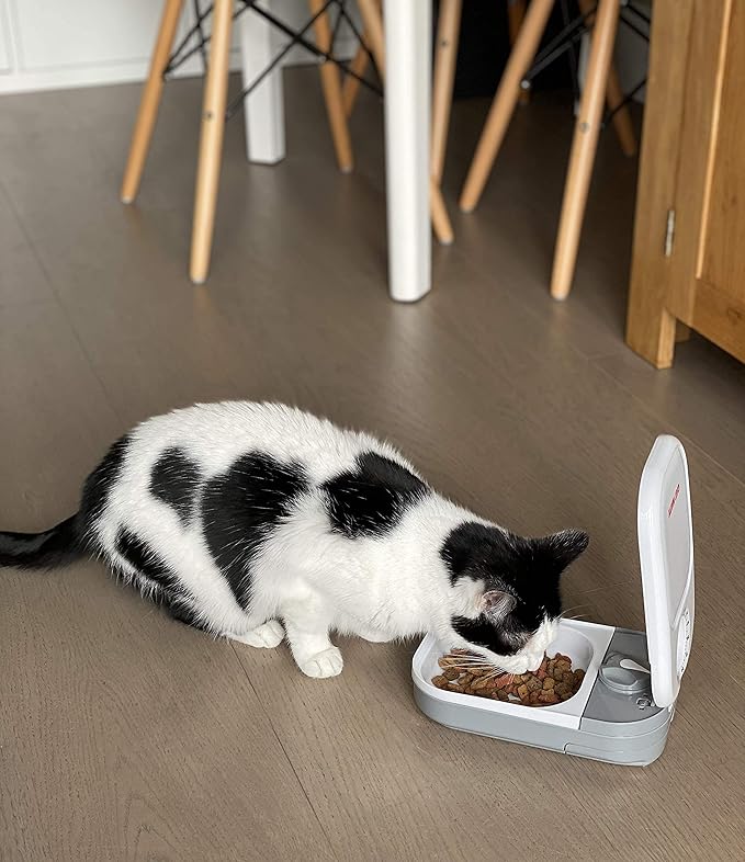 Cat Mate C100 Single Meal Automatic Pet Feeder for Cats and Small Dogs (no ice Pack) - PAWPICO