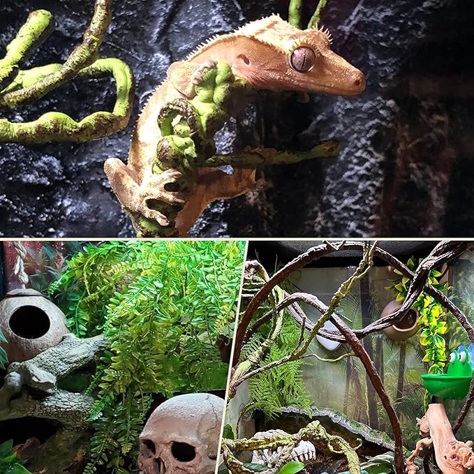 PINVNBY 10 PCS Reptile Plants Vine, Terrarium Hanging Flexible Climbing Artificial Leaves Reptile Hide, Bearded Dragon Tank Accessories, Terrarium Decor for Leopard Gecko Lizard Snake Geckos PINVNBY