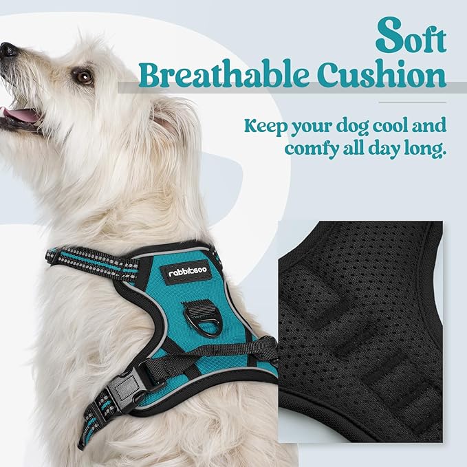 rabbitgoo Dog Harness No Pull with 2 Leash Clips, Adjustable Soft Padded, Reflective Oxford No Choke Pet Vest with Easy Control Handle for Puppy, Teal, XS rabbitgoo