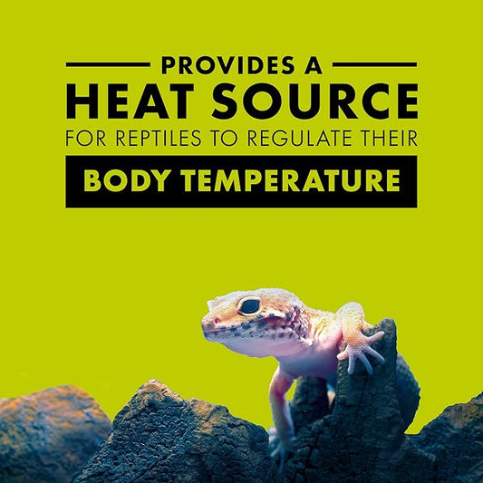 Zilla Incandescent Bulb, Day Blue Zilla