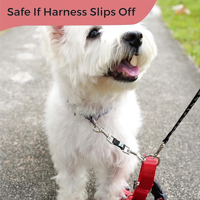 Gentle Creatures Collar Companion - Mini to Small Dogs Collar Backup Clip for Dog Harness, Prong Collar, Pinch Collar, Gentle Lead - Double Ended Backup Clasp - Harness to Collar Safety Clip GentleCreatures
