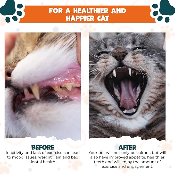 Silvervine Sticks for Cats 24 Pack Silvervine Cat Toy 10 Styles Dental Health and Calming Toy. Catnip, Gall Fruit and Bell Ball Cage Balls. Cleans Teeth & Calms Anxiety for Kitten (24 Pack) - PAWPICO