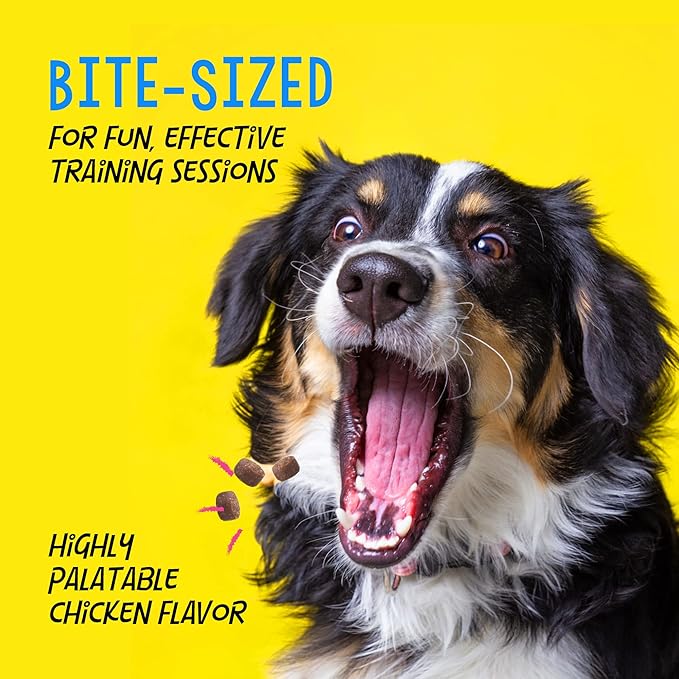 Crazy Dog Mini Train-Me! Training Treats 10 oz. Pouch, Chicken Flavor, with 500 Treats per Bag, Recommended by Dog Trainers - PAWPICO