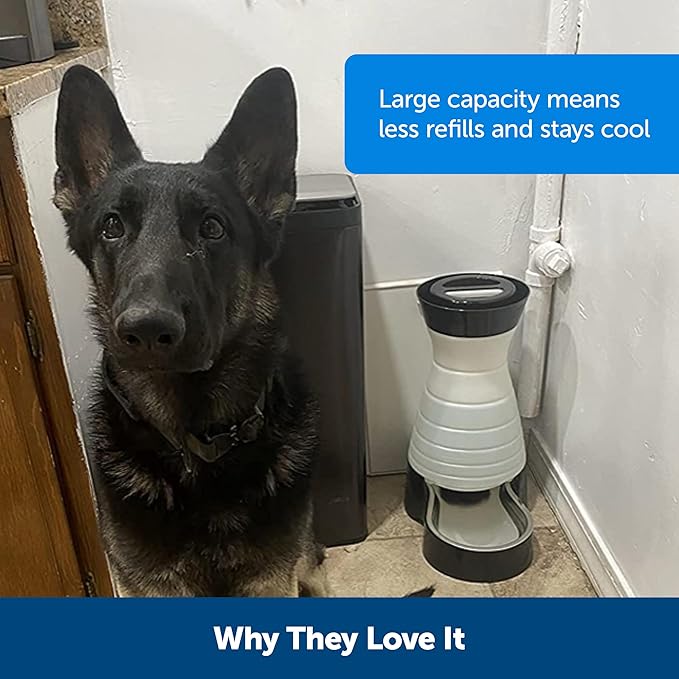 PetSafe Healthy Pet Water Station - Large, 320 oz Capacity - Gravity Pet Water Fountain, Automatic Cat Water Fountain or Dog Water Fountain - Water Dispenser - Removable Stainless Steel Bowl Included - PAWPICO