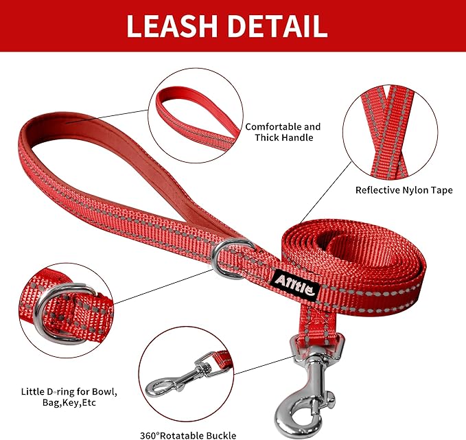 AIITLE Comfortable Dog Harness and Leash Set for Walking - Spring Step in Vest Harness,Reflective Bands, Adjustable No Pull Puppy Essentials, for Small Dogs and House Cats Burgundy XS AIITLE-FORPETSBETTERLIFE