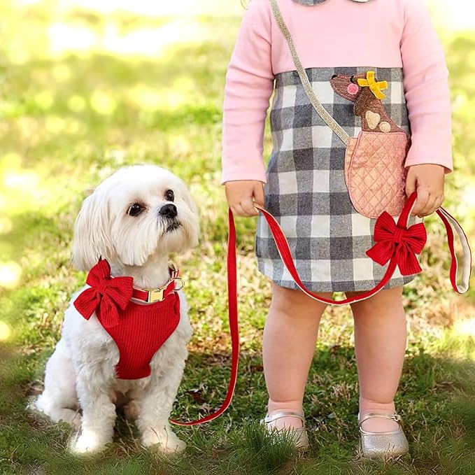 Didog Cute Small Dog Harness Collar & Leash Set, Adjustable Dog Collars and Leashes with Bowtie, Breathable Soft Mesh Padded Dog Vest for Puppies Small Dogs Walking, Red, M Didog