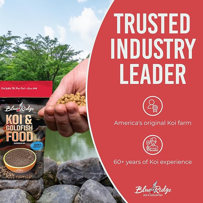 Blue Ridge Koi Fish Food 2lb - Koi Food Mini Growth Formula Goldfish Food, Premium Fish Food for Ponds, Ponds Fish Food, Koi Food Fall and Winter Fish Food, Floating Pond Pellets Fish Food BlueRidgeFishHatchery