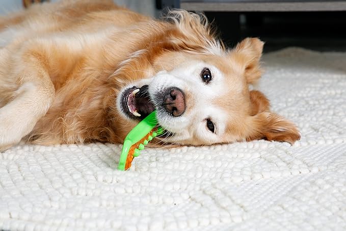 Hartz Chew 'n Clean Dental Duo Dog Treat & Chew Toy, Color Varies, Large, 3 Pack - PAWPICO