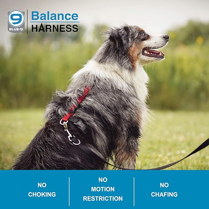 Blue-9 Buckle-Neck Balance Harness, Fully Customizable Fit No-Pull Harness, Ideal for Dog Training and Obedience, Made in The USA, Black, Large Blue-9