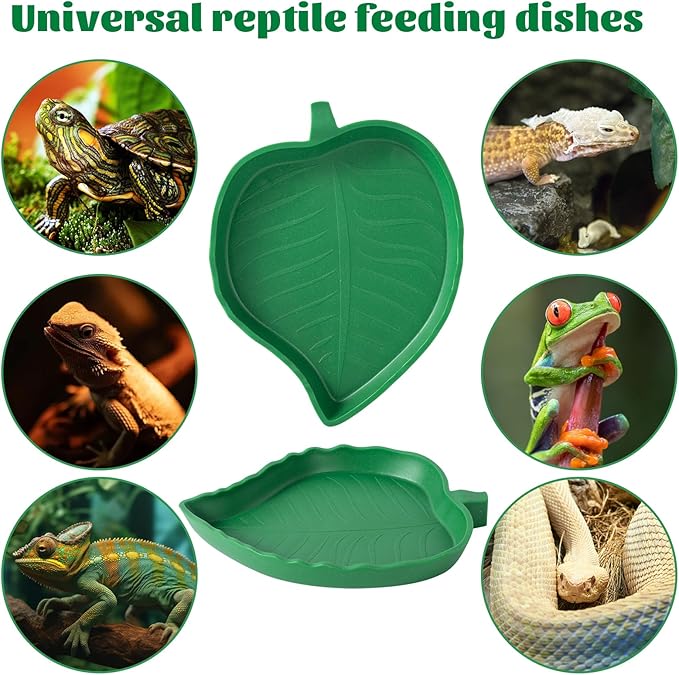 4Pack Terrarium Bowls Turtle Feeding Dishes Shallow and Flat Reptile Food and Water Feeder for Tortoise,Bearded Dragon,Lizards,Gecko,Cute Leaf and Mango Shaped SLSON