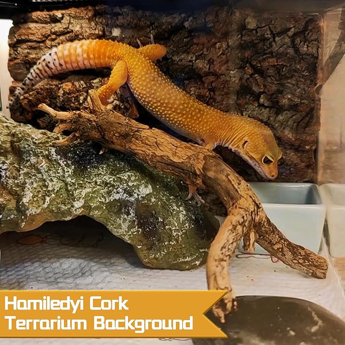 6PCS Cork Terrarium Background 15.7x11.8in Natural Large Cork Bark Backdrop Reptile Climbing Mat Tank Habitat Decor for Spider Lizard Chamelon Turtle Beared Dragon Hamiledyi