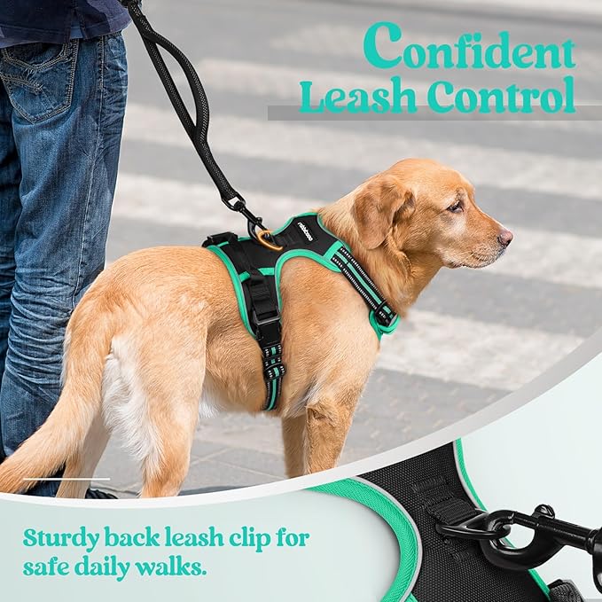 rabbitgoo Dog Harness No Pull with 2 Leash Clips, Adjustable Soft Padded, Reflective Oxford No Choke Pet Vest with Easy Control Handle for Large Dogs, Black & Turquoise, XL rabbitgoo