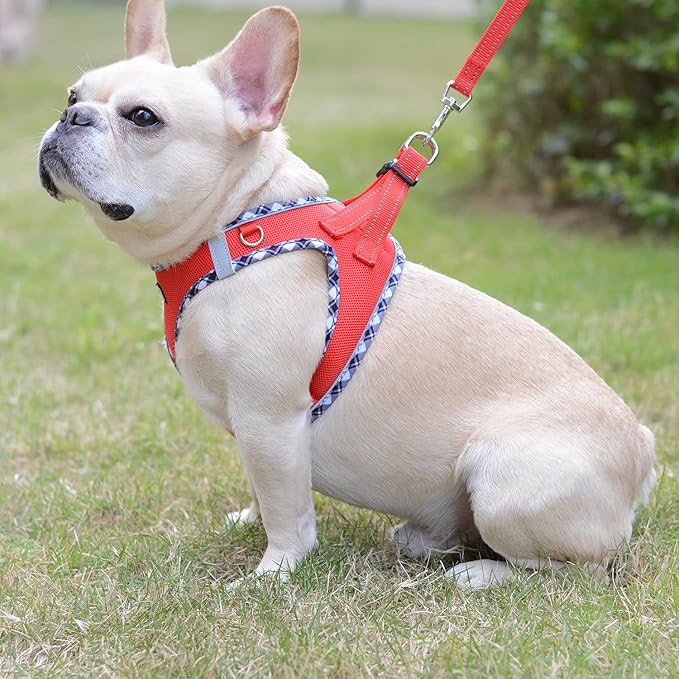 Mercano Soft Mesh Dog Harness and Leash Set, No-Chock Step-in Reflective Breathable Lightweight Easy Walk Escape Proof Vest Harnesses with Safety Buckle for Small Medium Dogs, Cats (Red, L) PAWPICO