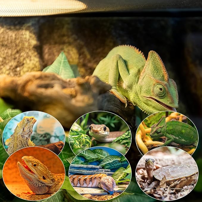 MIXJOY 100W Reptile Heat Lamp Bulb, 2Pack Reptile Basking Spot Light, Upgraded Intense Heat Basking Bulb, UVA Daylight Heat Lamp Bulbs for Reptiles, Bearded Dragon, Lizard, Tortoise, Chicken MIXJOY