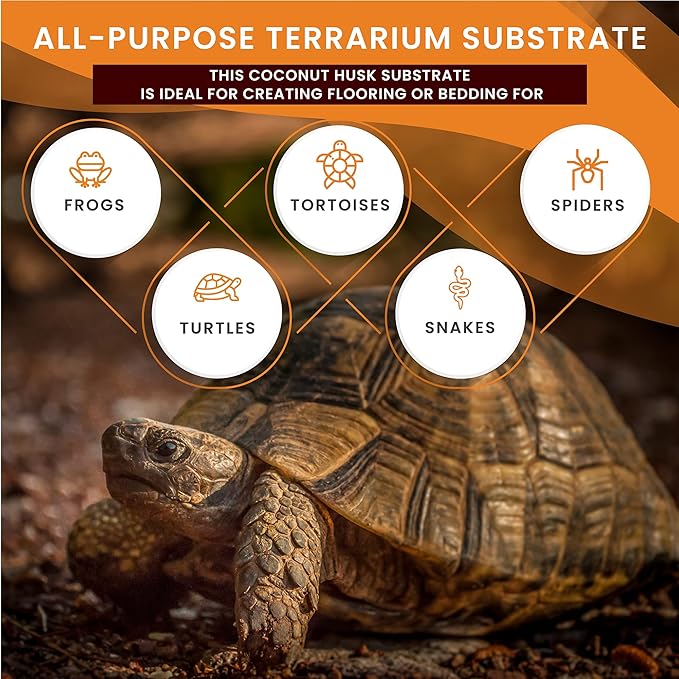 Compressed Coconut Fiber Substrate, 1.4 lb. Bricks, Natural Husk Terrarium Bedding, Reptiles, Frogs, Snakes, or Tortoise, Odor and Waste Absorbent Compostable, 5 Pack ReptiCasa