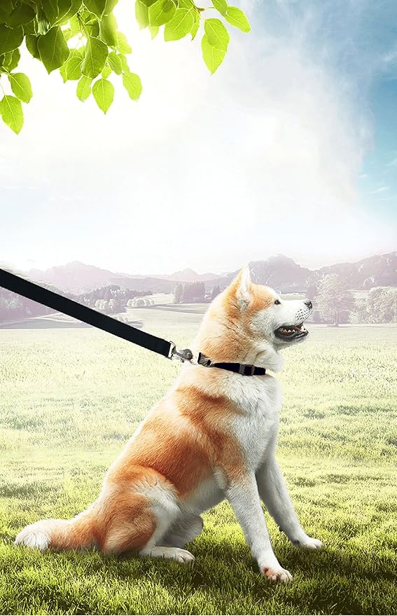 15ft 20ft 30ft 40ft 50ft Long Dog/Puppy Lead Obedience Recall Training Dog Leashes for Small Medium Dogs Camping, Training, Play, or Backyard (15 FT, Black) PETGOGO