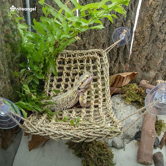 Niteangel Bearded Dragon Hammock Reptile Lounger for Chameleon, Lizards, Gecko, Snakes, Lguana Reptiles, Tortoises (Rectangle 16'' x 8'') Niteangel