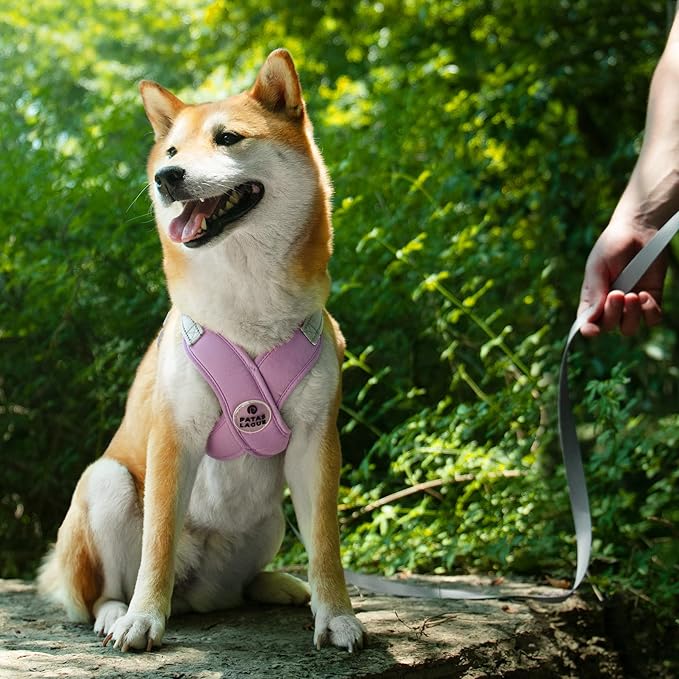 Patas Lague Dog Harness with Leash Set Adjustable Soft Padded Step-in Dog Vest No Choke No Pull Reflective for Small Medium Pets with Poop Bags and Dispenser, Solid and No-chew, Purple S PatasLague
