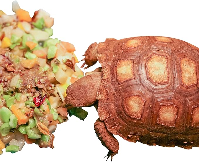 Tortoise Food Instant Meal for Reptiles - Nutritious Turtle Food, Tortoise Habitat Accessories, Tortoise Food - Made in USA - Ideal for Box Turtles, Lizards, Tortoises - 7.7 oz (220g) HealthyHerp