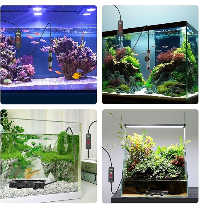 AQQA Small Aquarium Heater,Submersible Fish Tank Heater Adjustable Temperature,Mini Short Dual-use Fish Heater with LED Digital Display Thermostat,Saltwater Freshwater 250W AQQA