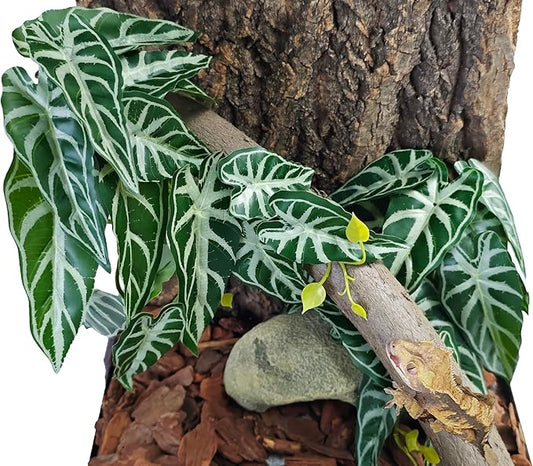 Woyrise 2 Pack Reptile Plants, Terrarium Hanging Plant Vines, Artificial Leaves with Suction Cup, Bearded Dragon Tank Accessories for Gecko Lizard Snake Frog Tortoise Decorations - Alocasia Velvet Woyrise