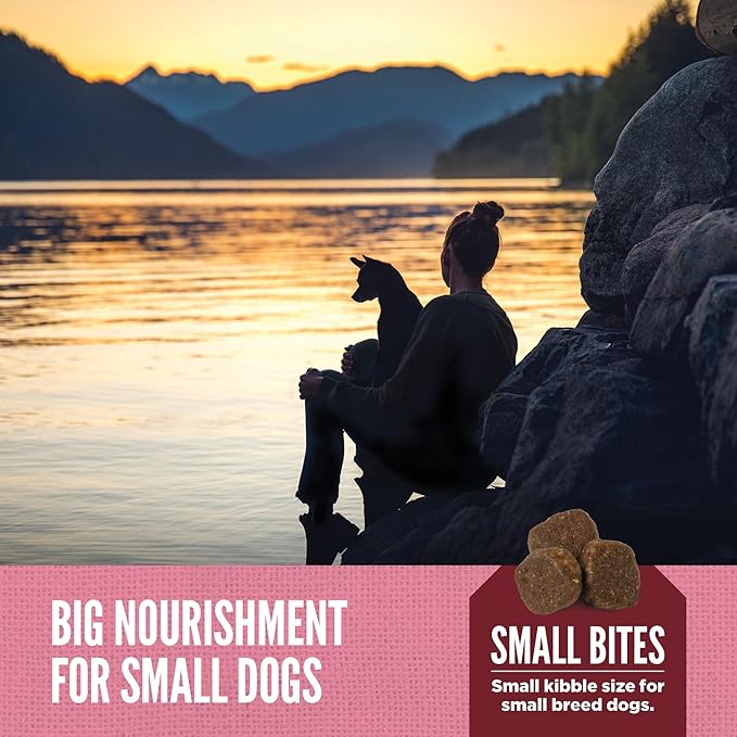 ORIJEN Amazing Grains™ Small Breed Dry Dog Food Recipe, 10lb - PAWPICO