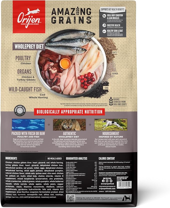 ORIJEN Amazing Grains™ Fit & Trim Dry Dog Food Recipe, 4lb - PAWPICO