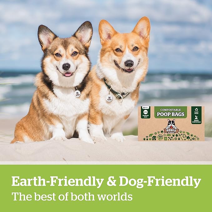 Pogi's Compostable Dog Poop Bags with Handles - 250 Doggie Poop Bags with Easy-Tie Handles - Leak-Proof Dog Waste Bags, Plant-Based, ASTM D6400, EN 13432 Certified Extra Large Poop Bags for Dogs - PAWPICO