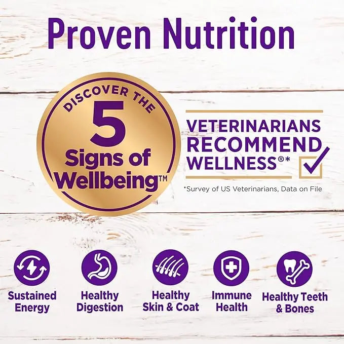 Wellness Complete Health Chicken & Oatmeal Natural Dry Dog Food, 30-Pound Bag (Packaging may vary) - PAWPICO