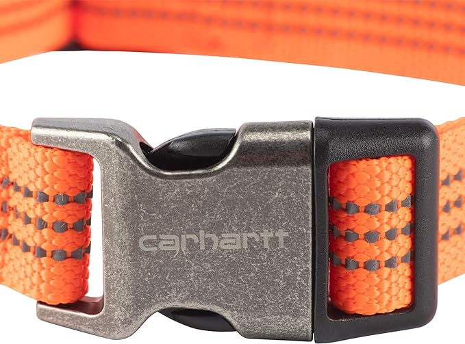 Carhartt Fully Adjustable Nylon Webbing Collars for Dogs, Reflective Stitching for Visibility, Hunter Orange (Nylon Webbing), Large Carhartt