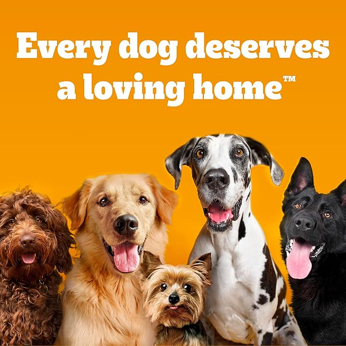 PEDIGREE DENTASTIX Large Dog Dental Treats Beef Flavor Dental Bones, 1.72 lb. Pack (32 Treats) - PAWPICO