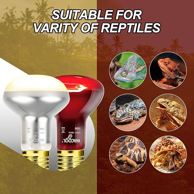 WACOOL 2Pack 75W Reptile Heat Lamp Day & Night Kit, Nature Simulated Basking Daylight & Nightlight Heat Lamp Bulbs for Reptiles & Amphibians, UVA Heat Lamp for Bearded Dragon Gecko Turtle Lizard WACOOLTERRA
