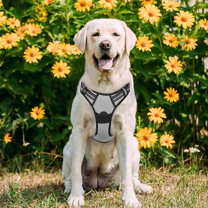 rabbitgoo Dog Harness No Pull with 2 Leash Clips, Adjustable Soft Padded, Reflective Oxford No Choke Pet Vest with Easy Control Handle for Large Dogs, Grey, L rabbitgoo