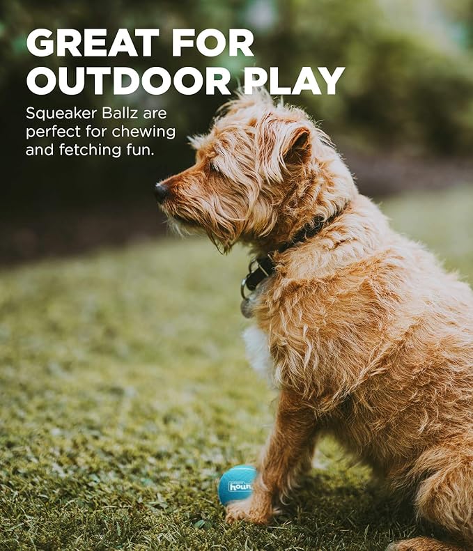 Outward Hound Squeaker Ballz Fetch Dog Toy, XS, 8-Pack - PAWPICO