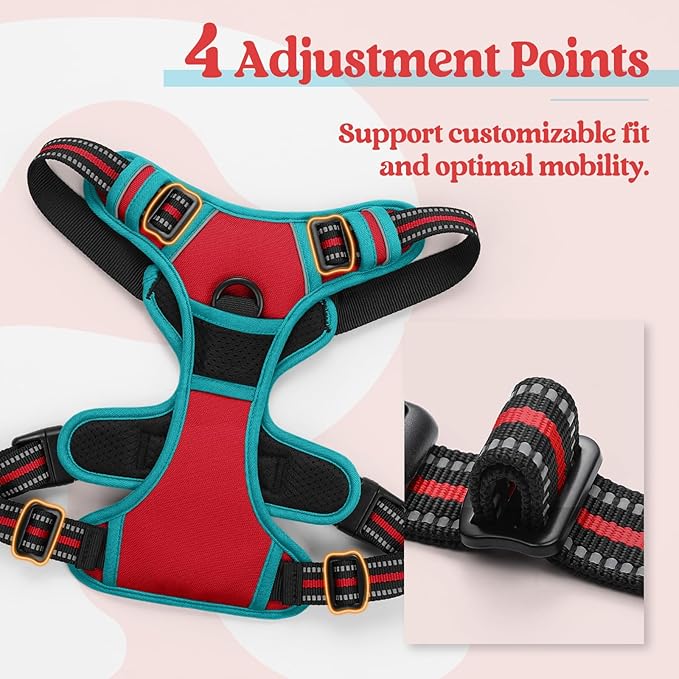 rabbitgoo Dog Harness No Pull with 2 Leash Clips, Adjustable Soft Padded, Reflective Oxford No Choke Pet Vest with Easy Control Handle for Medium Sized Dogs, Red & Teal, M rabbitgoo