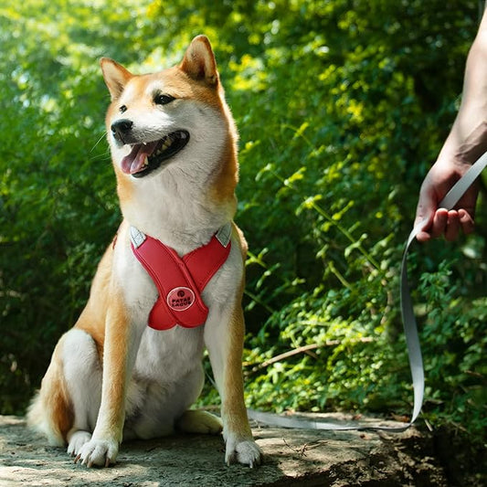 Patas Lague Dog Harness with Leash Set Adjustable Soft Padded Step-in Dog Vest No Choke No Pull Reflective for Small Medium Pets with Poop Bags and Dispenser, Solid and No-chew, Red S PatasLague