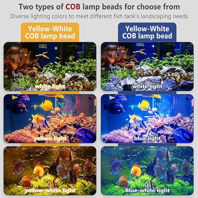 Aquarium Light Focus Light for Fish Tank Indoor LED Light Big Clip Lamp Adjustable Focus (White-Blue with Timer) PAWPICO