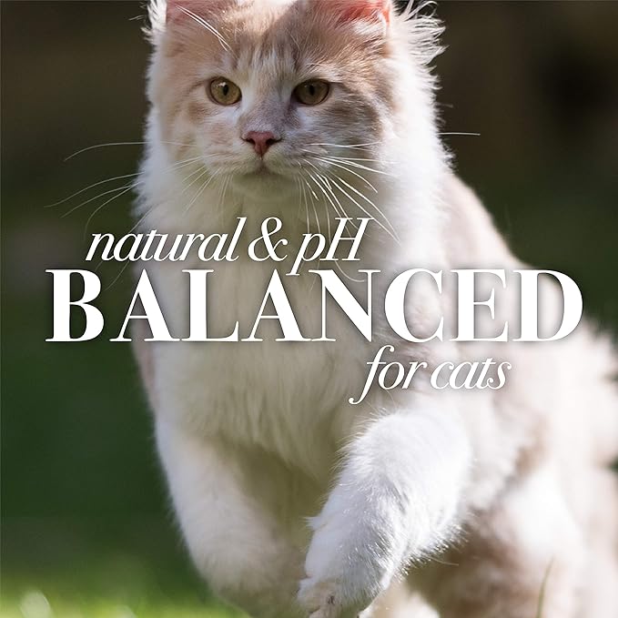 Burt's Bees for Pets Cat Naturally Derived Dander Reducing Spray with Soothing Colloidal Oat Flour & Honey - Cruelty Free, Made in USA, 10 oz Bottle - 2 Pack - PAWPICO