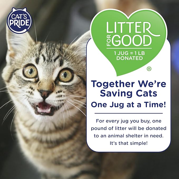 Cat's Pride Max Power: Natural Care - Up to 10 Days of Powerful Odor Control - 100% Natural Odor Elimination - Hypoallergenic - 99% Dust Free - Multi-Cat Clumping Litter, Unscented, 15 Pounds - PAWPICO