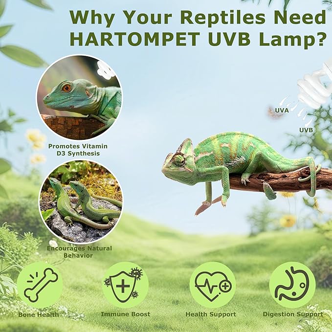 5.0 UVB Reptile Light 13W, Compact Tropical Terrarium Lamp, Coil UVB Fluorescent Bulb for Rainforest Reptiles – Light for Crowned Chameleons, Green Iguanas, Tree Frogs, Ball Pythons HARTOMPET