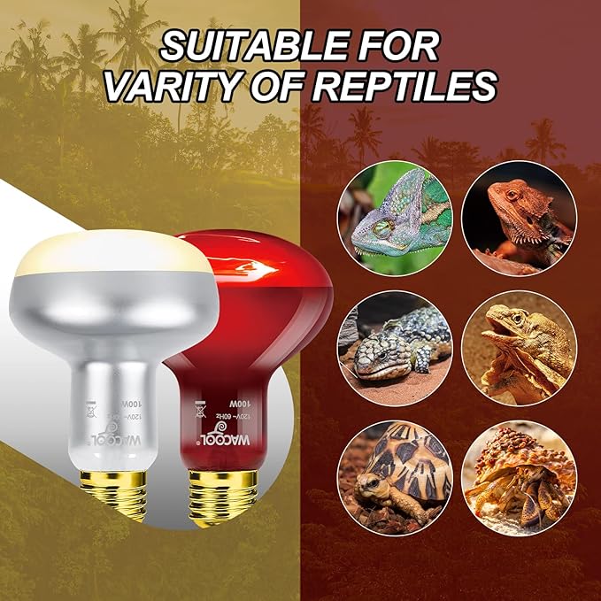 WACOOL 2Pack 100W Reptile Heat Lamp Day & Night Kit, Nature Simulated Basking Daylight & Nightlight Heat Lamp Bulbs for Reptiles & Amphibians, UVA Heat Lamp for Bearded Dragon Gecko Turtle Lizard WACOOLTERRA