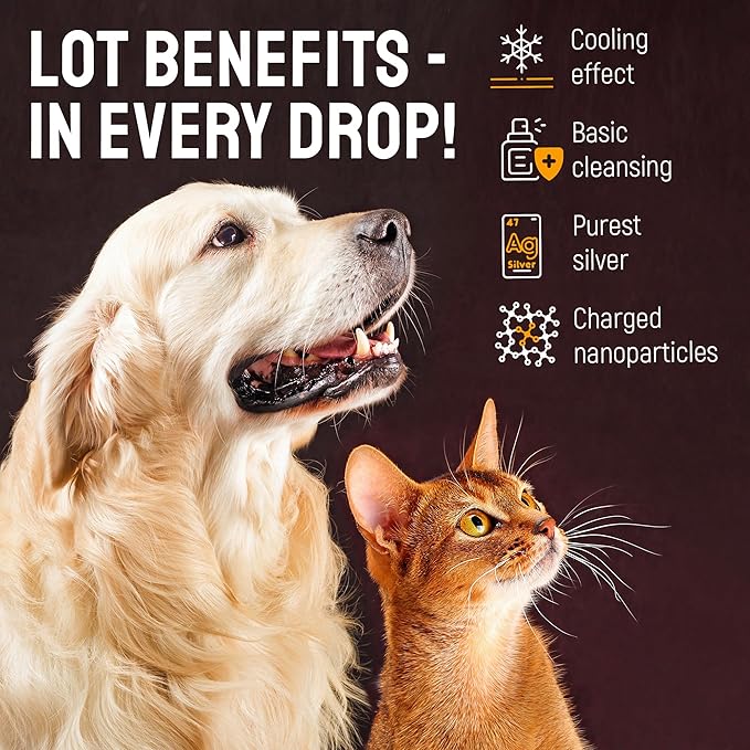 Dog Ear Infection Treatment + Colloidal Silver ● Ear Infection Treatment for Dogs & Cats ● Drops for Irritations, Itch, Odors, & Cat and Dog Ear Infection ● Silver Ear Wash for Different Pets ● 2 Oz SilverGrade