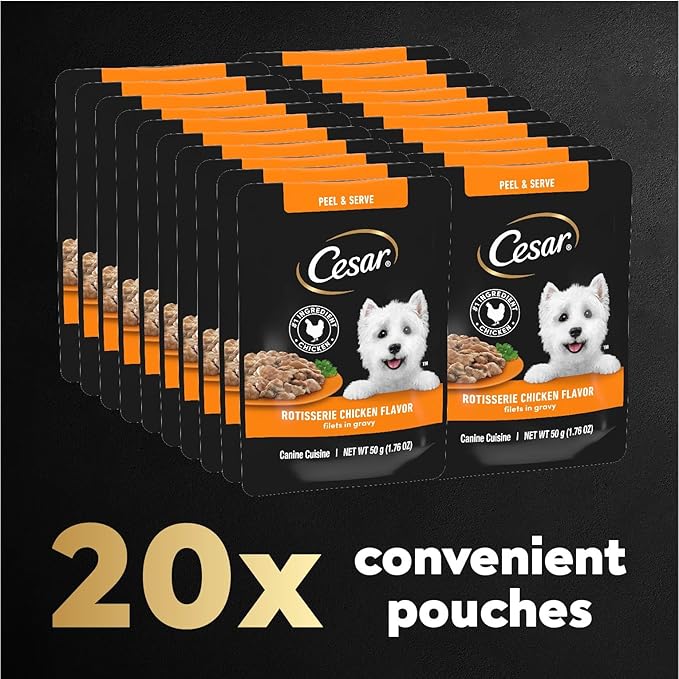Cesar Filets in Gravy Wet Dog Food Rotisserie Chicken Flavor, 1.76 oz. Mini-Pouch, 20 Pack - PAWPICO