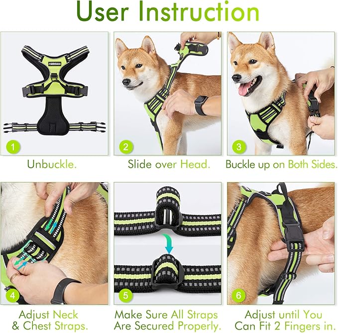 rabbitgoo Dog Harness No Pull with 2 Leash Clips, Adjustable Soft Padded, Reflective Oxford No Choke Pet Vest with Easy Control Handle for Large Dogs, Green, XL rabbitgoo